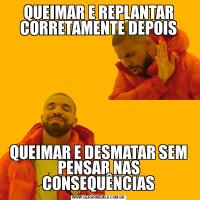 QUEIMAR E REPLANTAR CORRETAMENTE DEPOISQUEIMAR E DESMATAR SEM PENSAR NAS CONSEQUÊNCIAS