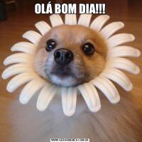 OLÁ BOM DIA!!!
