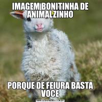 IMAGEM BONITINHA DE ANIMALZINHOPORQUE DE FEIURA BASTA VOCE