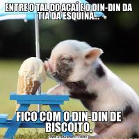 ENTRE O TAL DO AÇAÍ E O DIN-DIN DA TIA DA ESQUINA...FICO COM O DIN-DIN DE BISCOITO.