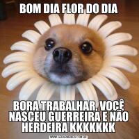 BOM DIA FLOR DO DIABORA TRABALHAR, VOCÊ NASCEU GUERREIRA E NÃO HERDEIRA KKKKKKK
