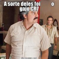 A sorte deles foi           o gajo CR7