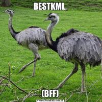 BESTKML,(BFF)