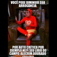 VOCÊ PODE DIMINUIR SUA ARROGÂNCIA 
POR AUTO CRÍTICA POR EXEMPLO NÉ?! SEU LÍRIO DO CAMPO, ALECRIM DOURADO 