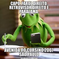 CAPO, FAROL DIREITO, RETROVISOR DIREITO E PARALAMA.AVENIDA DO CURSINO 2067 SÃO PAULO