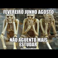 FEVEREIRO JUNHO AGOSTONÃO AGUENTO MAIS ESTUDAR 