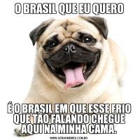 O BRASIL QUE EU QUEROÉ O BRASIL EM QUE ESSE FRIO QUE TÃO FALANDO CHEGUE AQUI NA MINHA CAMA.