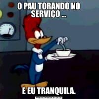 O PAU TORANDO NO SERVIÇO ...E EU TRANQUILA.