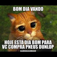 BOM DIA VANDOHOJE ESTÁ DIA BOM PARA VC COMPRA PNEUS DUNLOP