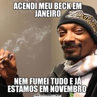 ACENDI MEU BECK EM JANEIRONEM FUMEI TUDO E JÁ ESTAMOS EM NOVEMBRO 
