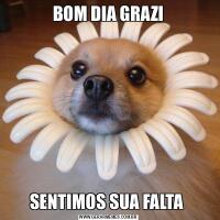 BOM DIA GRAZISENTIMOS SUA FALTA 