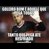 GOLEIRO BOM É AQUELE QUE PEGA TODASTANTO QUE PEGA ATÉ RESFRIADO