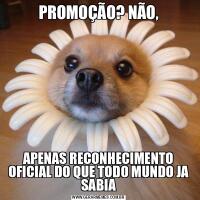 PROMOÇÃO? NÃO,APENAS RECONHECIMENTO OFICIAL DO QUE TODO MUNDO JA SABIA