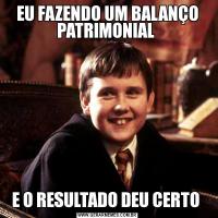 EU FAZENDO UM BALANÇO PATRIMONIAL E O RESULTADO DEU CERTO 