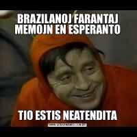 BRAZILANOJ FARANTAJ MEMOJN EN ESPERANTOTIO ESTIS NEATENDITA