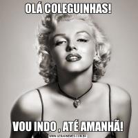 OLÁ COLEGUINHAS!VOU INDO , ATÉ AMANHÃ!
