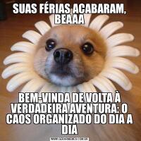 SUAS FÉRIAS ACABARAM, BEAAABEM-VINDA DE VOLTA À VERDADEIRA AVENTURA: O CAOS ORGANIZADO DO DIA A DIA