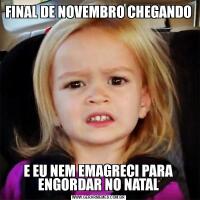 FINAL DE NOVEMBRO CHEGANDOE EU NEM EMAGRECI PARA ENGORDAR NO NATAL