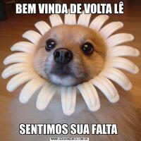 BEM VINDA DE VOLTA LÊSENTIMOS SUA FALTA 