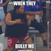 WHEN THEY BULLY ME 