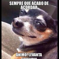 SEMPRE QUE ACABO DE ACORDARÂNIMO! LEVANTA