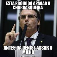 ESTA PROIBIDO APAGAR A CHURRASQUEIRA ANTES DA DENISE ASSAR O MILHO