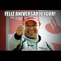 FELIZ ANIVERSÁRIO IGOR!