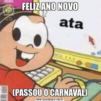 FELIZ ANO NOVO(PASSOU O CARNAVAL)