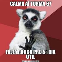 CALMA AÍ TURMA 67FALTA POUCO PRO 5° DIA UTIL