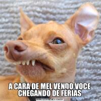 A CARA DE MEL VENDO VOCE CHEGANDO DE FÉRIAS