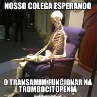 NOSSO COLEGA ESPERANDOO TRANSAMIM FUNCIONAR NA TROMBOCITOPENIA