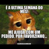 É A ULTIMA SEMANA DO MÊS!ME AJUDA COM UM PEDIDO, POR FAVORZINHO... 