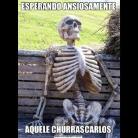 ESPERANDO ANSIOSAMENTEAQUELE CHURRASCARLOS