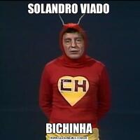 SOLANDRO VIADOBICHINHA
