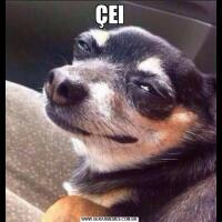 ÇEI