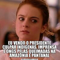 EU VENDO O PRESIDENTE CULPAR INDÍGENAS, IMPRENSA E ONGS PELAS QUEIMADAS NA AMAZÔNIA E PANTANAL