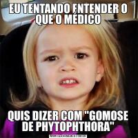 EU TENTANDO ENTENDER O QUE O MÉDICOQUIS DIZER COM ''GOMOSE DE PHYTOPHTHORA''