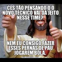 CES TÃO PENSANDO Q O NOVO TÉCNICO VAI DÁ JEITO NESSE TIME? NEM EU CONSIGO FAZER ESSES PERNAS DE PAU JOGAREM BOLA. 