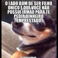 O LADO BOM DE SER FILHO ÚNICO É QUE VOCÊ NÃO POSSUI IRMÃO PARA TE PEDIR DINHEIRO EMPRESTADO