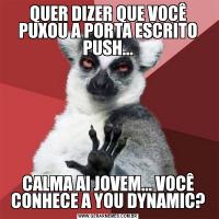 QUER DIZER QUE VOCÊ PUXOU A PORTA ESCRITO PUSH...CALMA AI JOVEM... VOCÊ CONHECE A YOU DYNAMIC?
