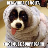 BEM VINDA DE VOLTA FINGE QUE É SURPRESA!!!!