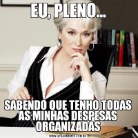 EU, PLENO...SABENDO QUE TENHO TODAS AS MINHAS DESPESAS ORGANIZADAS