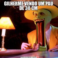 GILHERME VENDO UM PAU DE 30 CM