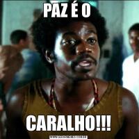PAZ É O CARALHO!!!