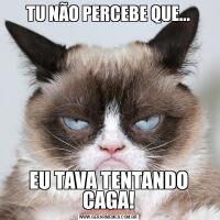 TU NÃO PERCEBE QUE...EU TAVA TENTANDO CAGA!
