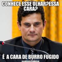 CONHECE ESSE OLHAR?ESSA CARA?É  A CARA DE BURRO FUGIDO