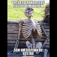VOCÊ ESPERANDO SEUS CUSTOS DIMINUÍREMSEM UM SISTEMA DE GESTÃO