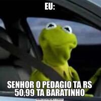 EU:SENHOR O PEDAGIO TA RS 50,99 TA BARATINHO