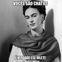 VOCÊS SÃO CHATOSÉ VERDADE ESE BILETE