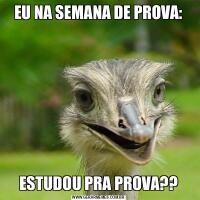 EU NA SEMANA DE PROVA:ESTUDOU PRA PROVA??
